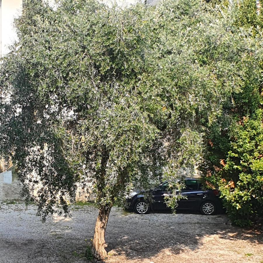 Appartamento Lido 'With Parking Space Included' Toscolano Maderno Ngoại thất bức ảnh